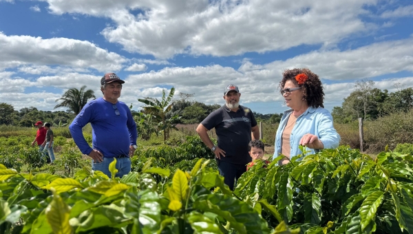 Perpétua visita produtores de café em Senador Guiomard e anuncia ampliação de investimentos na cadeia produtiva